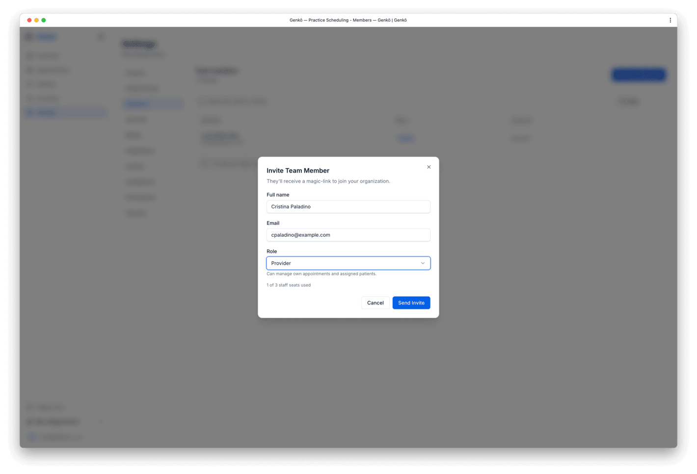 Invite team member dialog with email field and role selector
